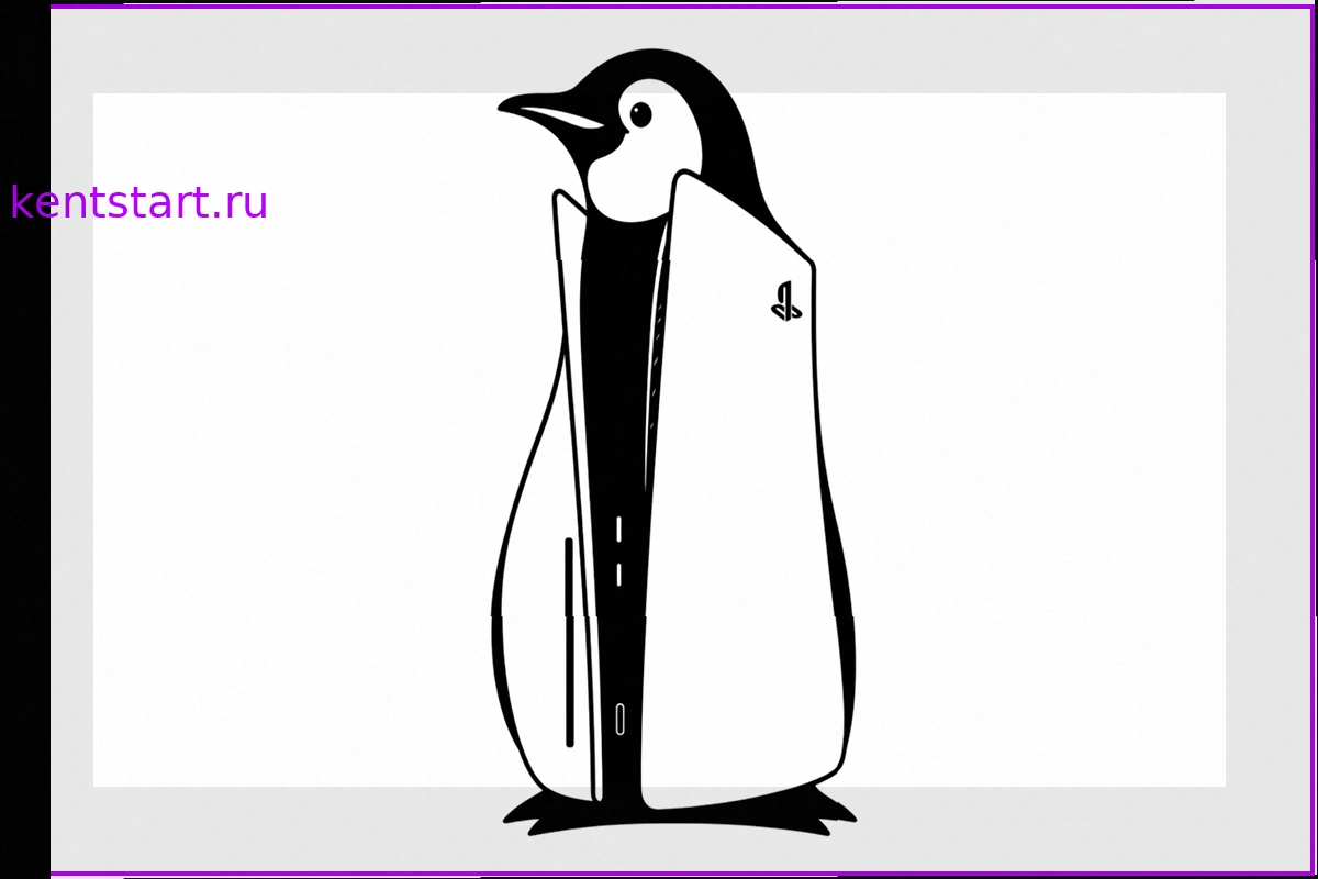 Подробное руководство по установке Linux на PlayStation 5