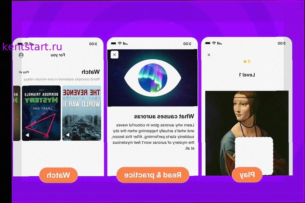 Превратите время у экрана в источник знаний с приложением Nibble