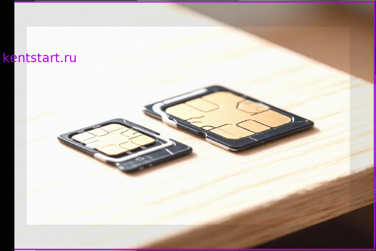 Сервис «Госуслуг» по проверке SIM-карт: 200 миллионов использований и эффективная защита от мошенников
