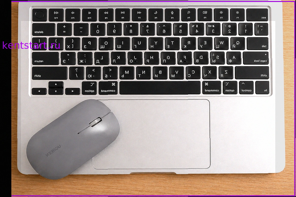 Мышь против трекпада: Выбор для продуктивной работы на MacBook Air M2